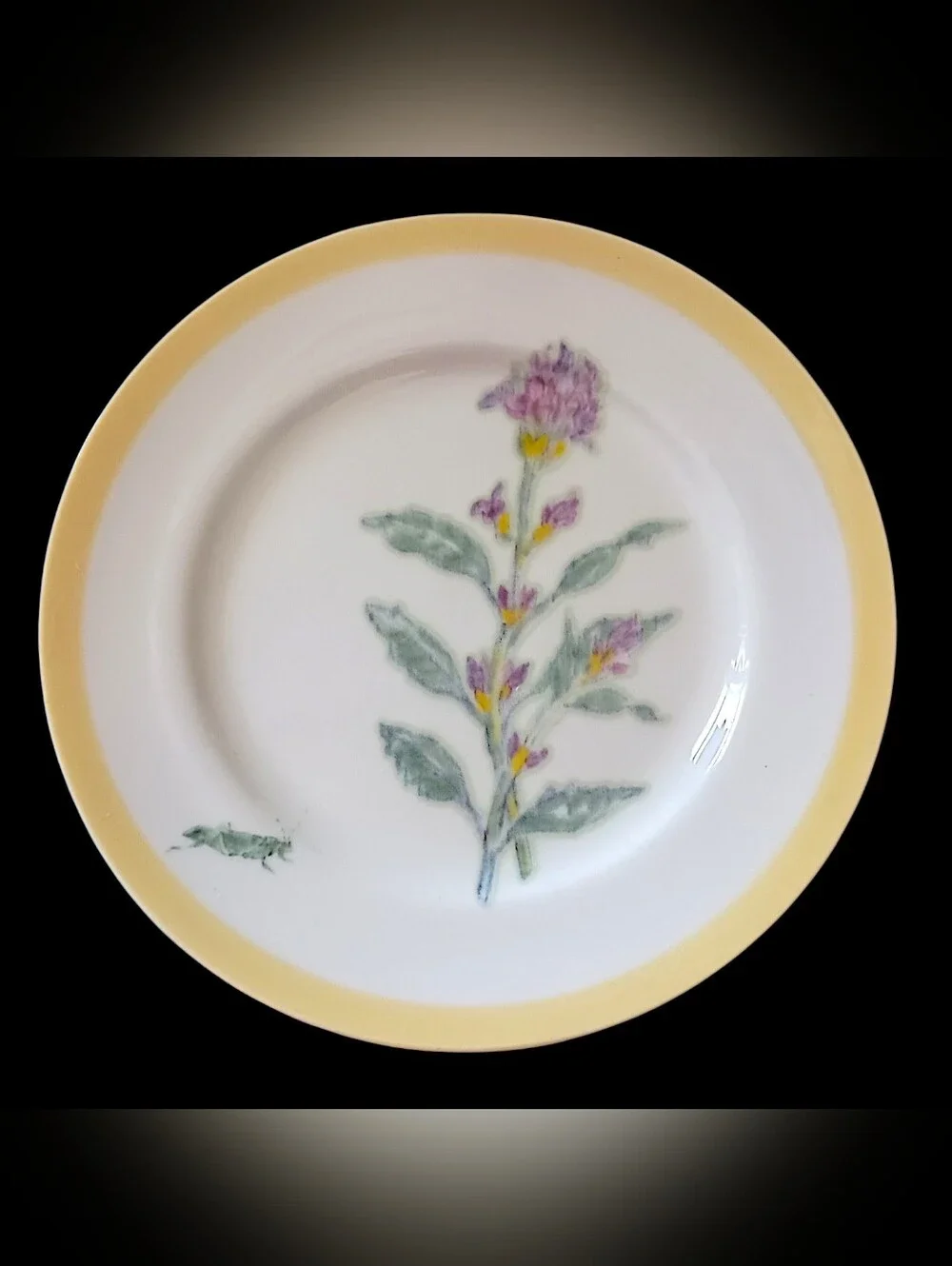 2 Williams Sonoma Flowering Herbs Salad Plates Purple Herb Flowers Grasshopper